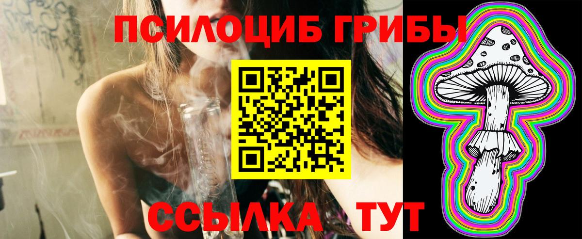 Псилоцибиновые грибы Cubensis Кандалакша
